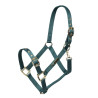 Cabezada ajustable Shires Arma - Verde