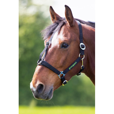 Cabezada Shires Greenguard