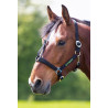 Cabezada Shires Greenguard - Negro
