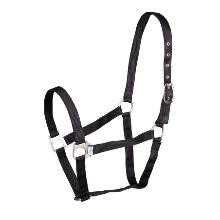 Cabezada Shires Wessex