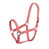 Cabezada Shires Wessex - Rojo / plateado