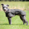 Abrigo encerado para galgo Shires Digby & Fox - Oliva