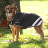 Abrigo impermeable para perro Shires Digby & Fox - Verde