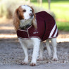 Abrigo impermeable para perro Shires Digby & Fox - Burdeos
