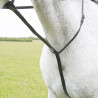 Martingala fija Shires Velociti Gara - Castaño
