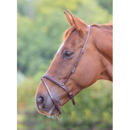 Muserola francesa flash Shires Velociti Gara
