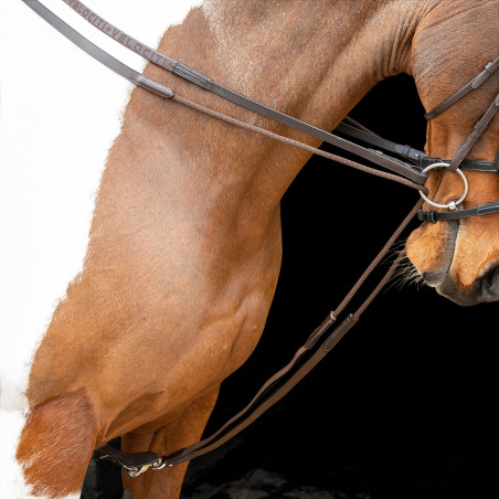 Riendas alemanas elásticas Shires Velociti Gara