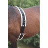 Cinchón de nailon con acolchado polar Shires - Negro