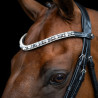 Frontal Imperial Riding Slim - Negro / plata