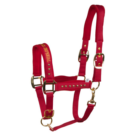 Cabestro Imperial Riding Devil