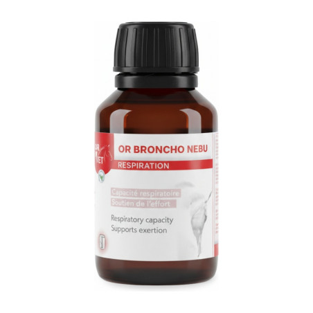 Bronco de oro nebu Oro vet