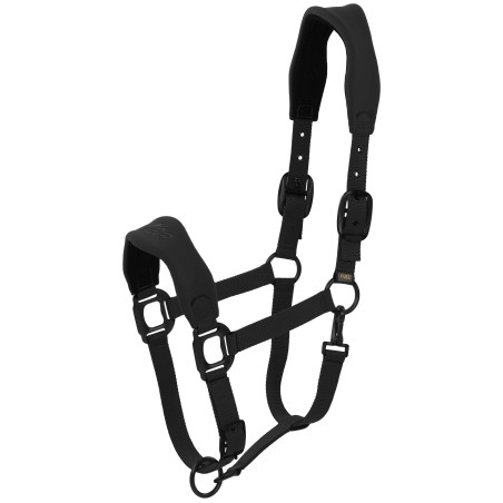 Lamicell Cabezada V22