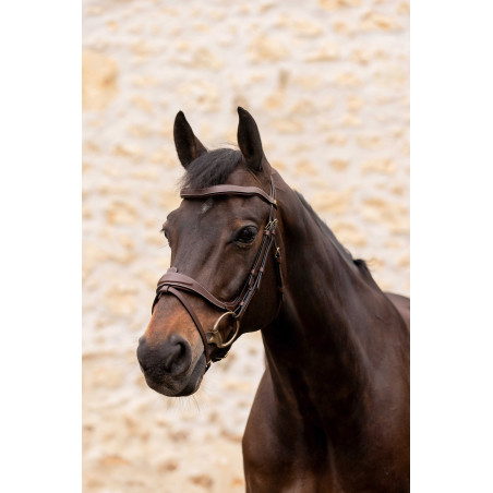 K by Equithème Brida K-Kontour