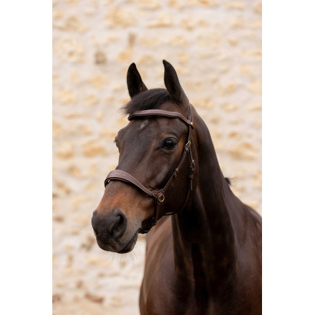 K by Equithème Brida K-Konnect