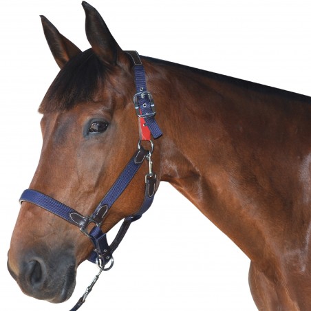 Cabezada de seguridad Flags & Cup