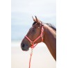 Cabezada cuadra nylon Topaz Shires - Gris