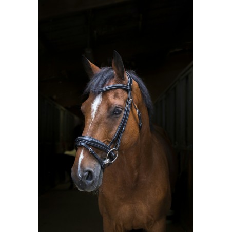 Cabezada de montar Eric Thomas Pro Design