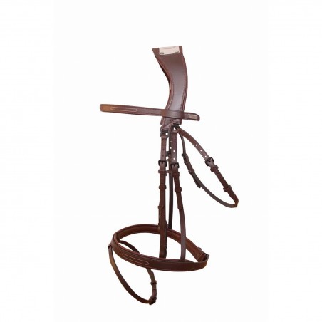 Brida Puente Manet T de T