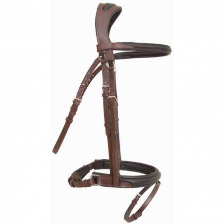 Brida Lautrec T de T