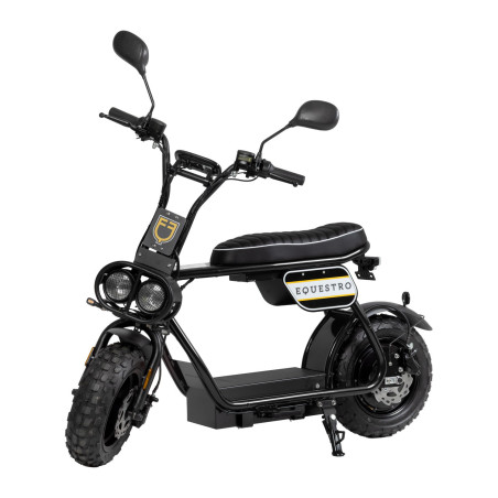 Scooter eléctrico E-one 1000W