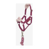 Cabezada y ramal Vogue Hobby Horse LeMieux - Mora