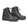 Wild River Lace Paddock Mountain Horse - Negro