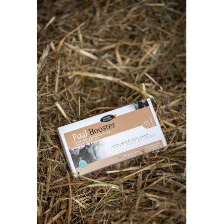 Foal Booster potros Horse Master