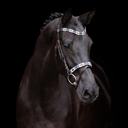 Brida HV Polo Chaya