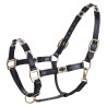 Cabezada HV Polo Chaya - Negro / dorado