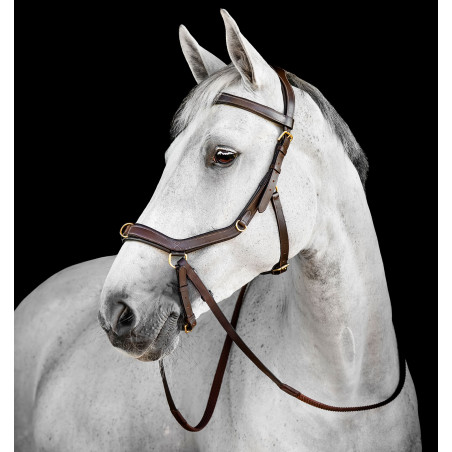 Brida Horseware Micklem® Multi
