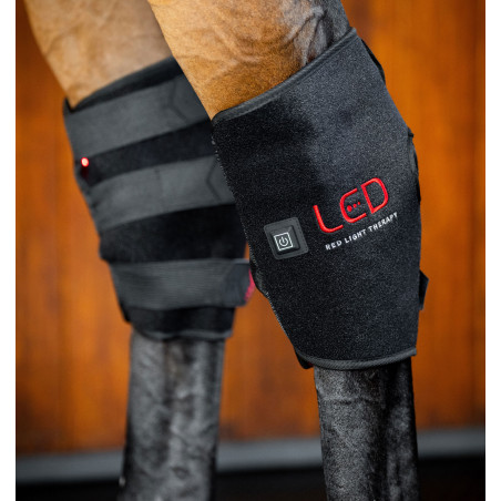 Guarniciones terapéuticas de luz roja LED para babillas Horseware® Par