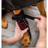 Vendas de terapia con luz roja LED para las patas de mascotas Horseware Par juego - Negro / negro