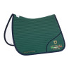 Sudadera de doma con logo bordado Equestro X Fise 100 - Verde salvia profundo / bosque azul