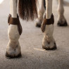 Protectores de menudillo Young Horses Pro chocolate L - Castaño