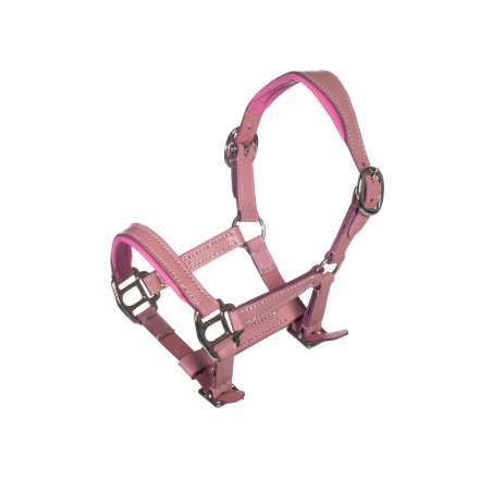 Cabezada de cuero Pink Hobby Horsing- HKM