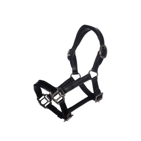 Cabezada de cuero Lacado Hobby Horsing- HKM