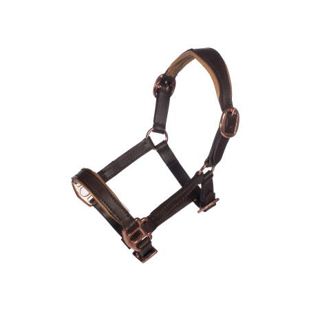 Cabezada de cuero Oro rosa Hobby Horsing- HKM