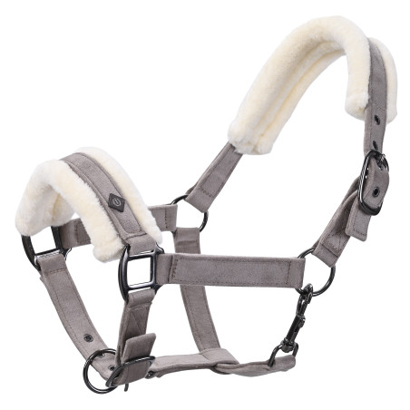 Cabestro Imperial Riding Bandit
