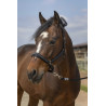 Cabezada de cuadra EQUITHÈME Nylon Strass - Rosa
