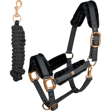 Set de cabezadas Phoenix Waldhausen