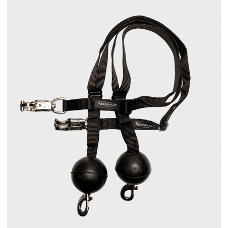 Horseware BarnSafe Correas de sujeción para establo Pack de 2