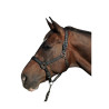 Set de cabestro y ramal Gorla Flags & Cup - Ciruela