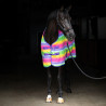 Manta polar Imperial Riding Stripe - Arcoíris