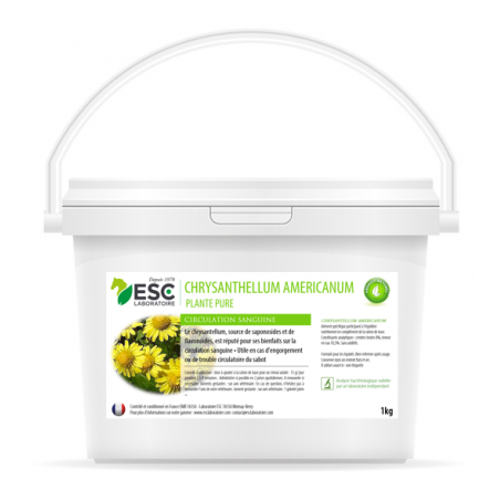 Chrysantellum Americanum  ESC Laboratoire