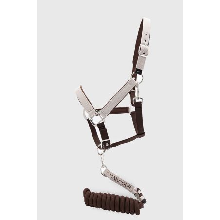 Condor Cabezada y ramal Harcour