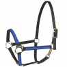 Cabezada Beta US 20 mm Finn-Tack - Azul
