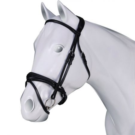 Cabezada Acavallo Maesta cuero