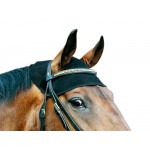 Testera Back On Track