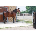 FESTES PRÄRIETOR DIÁMETRO 42/35