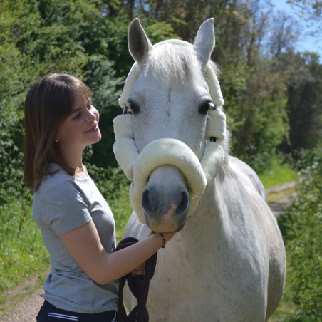 Cabezada de transporte Flags & Cup
